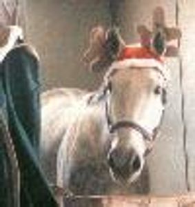 propspony Profile Photo